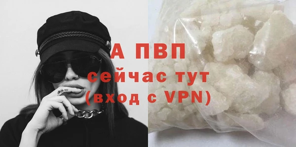 крисы Липки