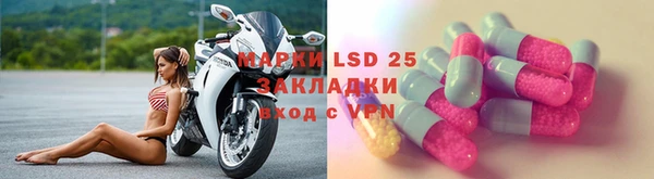 крисы Липки