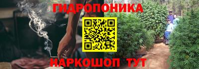 ГАЛЛЮЦИНОГЕННЫЕ ГРИБЫ Ликино-Дулёво