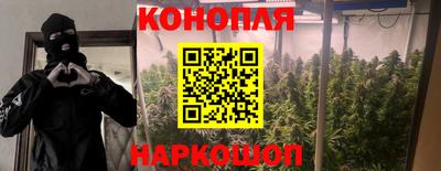 меф Лесосибирск