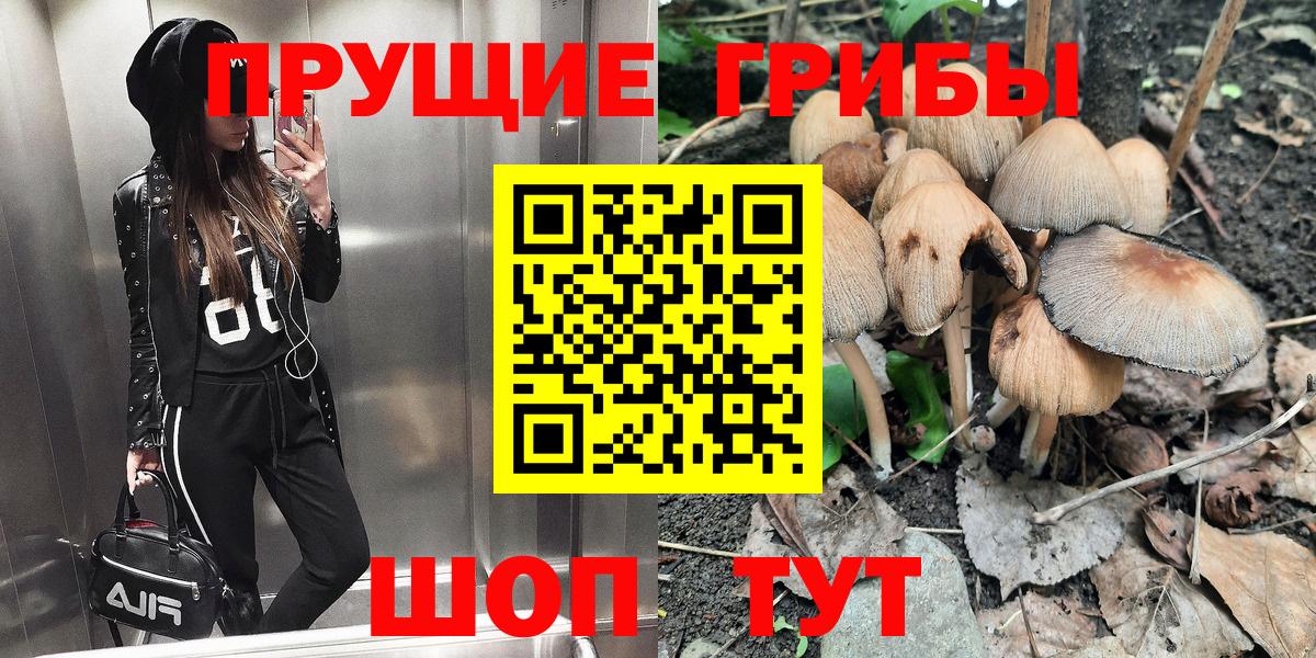 Псилоцибиновые грибы Psilocybe  закладка  Темрюк  Вход с VPN 