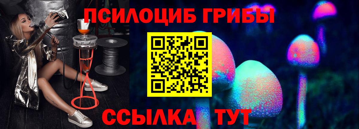 Псилоцибиновые грибы GOLDEN TEACHER Темрюк